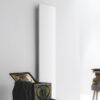 Termoarredo-tifvs-antrax-interiortedone