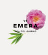 emera-undici-fragranze-profumatori-interiortedone