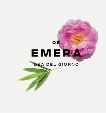 emera-undici-fragranze-profumatori-interiortedone