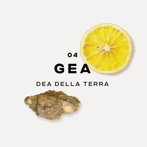 gea-undici-fragranze-profumatori-interiortedone